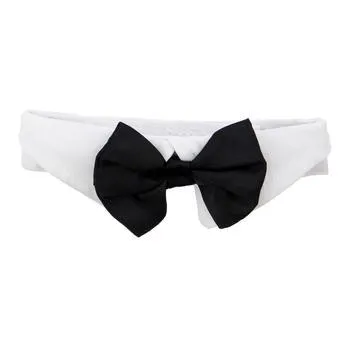 Black Satin Dog Bow Tie and Collar