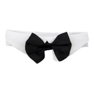Black Satin Dog Bow Tie and Collar
