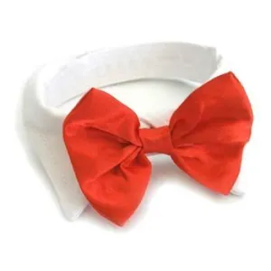 Red Satin Dog Bow Tie and Collar
